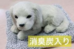★犬 ラブラドール 置物 インテリア 車用 消臭 部屋 活性炭 脱臭