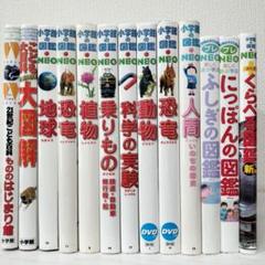 2025年最新】小学館の図鑑 neo セットの人気アイテム - メルカリ