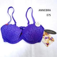 日本未発売【ANNEBRA ピンクパープル 80C ⠀】アンブラ