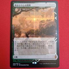 MTG 再活性 ボックストッパー foil psa10 2025年最新】mtg ボックストッパーの人気アイテム - メルカリ