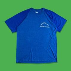 70s USA製 Champion チャンピオン バータグ 染み込みTシャツ
