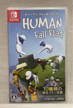 HUMAN fall flat ソフト