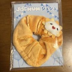 2025年最新】JOCHUM シュシュ biraの人気アイテム - メルカリ