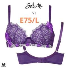 新品未使用 Wacoal Salute 女優ブラ サルート ワコール 75 女優ブラ ブラジャー Gカップ 新作 セール
