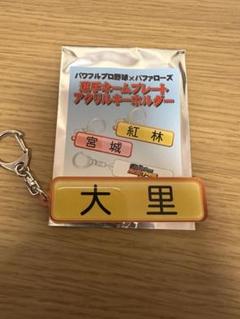 2025年最新】オリックス パワプロ キーホルダーの人気アイテム