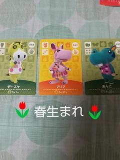 amiiboカード どうぶつの森 アミーボカード あんこ マリア デースケ