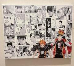 ハイキュー!!展 フルカラーBIGアートボード 日向翔陽&影山飛雄 ハイキュー!!展 フルカラーBIGアートボード 日向翔陽&影山飛雄
