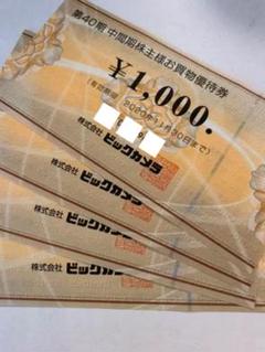 ビックカメラ 株主優待 割引券 買い物券