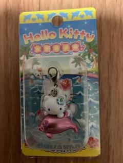 希少　レア　ご当地キティー　人魚　イルカ　ファスナーマスコット　チャーム 希少ハローキティファスナーマスコットイルカ1個