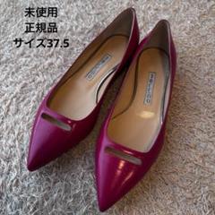 値下げ！20SS 新品 ペリーコ 新木型ANIMA アネッリ パンプス 37 楽天市場】ペリーコ パンプス ポインテッドトゥ レザー スエード
