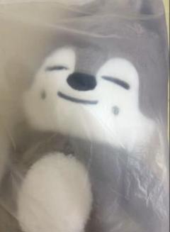 StrayKids スキズ　テディベア ぬいぐるみ SKZOO ウルフチャン 2 straykids スキズ テディベア SKZOO ウルフチャン teddy - メルカリ
