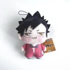 ハイキュー!! 黒尾鉄朗 孤爪研磨 ちょぴぬい マスコット フリュープライズ公式 on X: 
