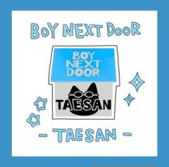 定番のお歳暮 2025年最新】BoyNextdoor ペンライト テサンの人気アイテム ミュージシャン