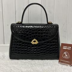 ⭐️美品⭐️JRA認定 シャイニングクロコ エキゾチック フォーマル ハンドバッグ