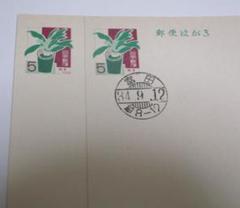 <ウニ・アサガオ> 昭和34年 1959年　郵便はがき　絵葉書　未使用10枚 未使用1枚・消印付き1枚】敬老 はがき 1959年 昭和34年 - メルカリ