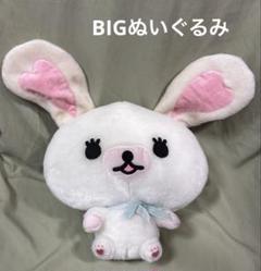 2025年最新】うさぎのモフィぬいぐるみの人気アイテム - メルカリ