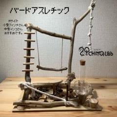 ハンドメイド製 バードアスレチック Mサイズ ふくちよラボ