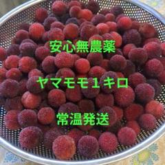 新鮮 ヤマモモ 中粒(5キロ) 2025年最新】やまももの人気アイテム - メルカリ