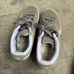 PUMA 24.5cmスニーカーグレー