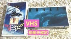 宣伝プレス★ネバーエンディングストーリー3 ロビーカード 11枚セット 完全品 宣伝プレス☆ネバーエンディングストーリー3 ロビーカード 11枚