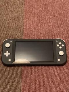 Nintendo Switch light 保護フィルム、ケース付き