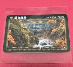 線路 樽見線開業記念　神海-樽見間　鉄道マニア必須アイテム　入手困難　付加価値 樽見鉄道散歩（1）盆梅展号と神海駅の交換設備。 | 稲見駅長の
