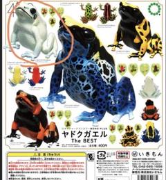 2025年最新】ヤドク ネイチャーテクニカラーの人気アイテム