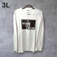 FIY BEHNS 3L 長袖 ロンT グラフィックプリント　夏 夏物 夏服