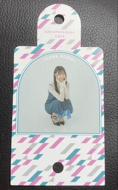 元NMB48♡東由樹♡生写真 缶バッジ アクキー まとめ売り 元NMB48♡東由樹♡生写真 缶バッジ アクキー まとめ売り
