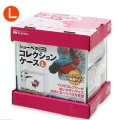 コレクションケース L(個数により値下げ)