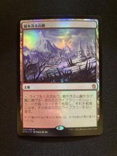 2024年最新】樹木茂る山麓 mtgの人気アイテム - メルカリ