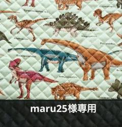 maru25　リアル恐竜柄　レッスンバッグ　上靴入れ　他 m79896928591_1.jpg?1739779404
