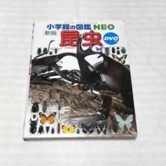 昆虫