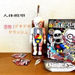人間模型 恐怖！ドキドキクラッシュ 放課後怪談シリーズのサムネイル