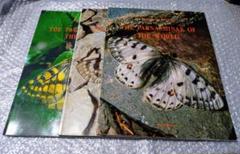 世界のウスバアゲハ亜科 Part.1～3 洋書 ウスバアゲハ 薄羽鳳蝶 蝶 世界のウスバアゲハ亜科 Part.1～3 洋書 ウスバアゲハ 薄羽鳳蝶