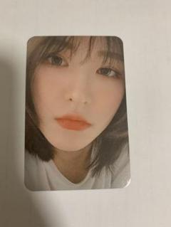 2025年最新】red velvet キノの人気アイテム - メルカリ