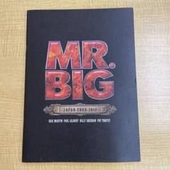 2025年最新】MR.BIG フライヤーの人気アイテム - メルカリ
