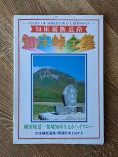 【時間指定不可】 ☆伊藤正一☆「 知床峠」F0号サイズ 絵画