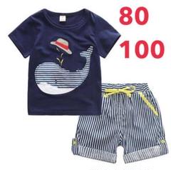 ベビー服クジラ柄 男の子ボーダーパンツ 2点セット上下セット子供服 100