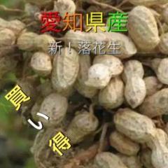 青唐辛子 韓国品種 愛知県産2000g