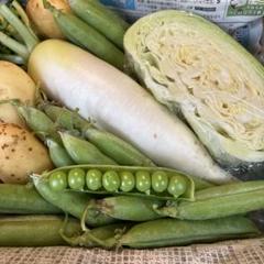 季節のお野菜4種類、詰め合わせ！新鮮、匿名、コンパクトBOX、静岡県産のサムネイル