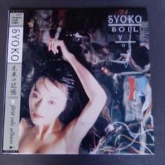 G-Schmitt Sin,Secret Desire ポスター付き レコード G-SCHMITT / SIN, SECRET & DESIRE | RECORDSHOP GG