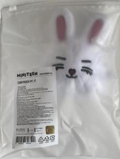 SEVENTEEN Miniteen エスクプス クッションおまけトレカ付き 2493951959.JPG?1738147542