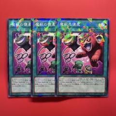 魔獣の懐柔」の激安通販 | magi