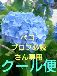 ペコ プロフ必読さん専用　クール便 ペコ プロフ必読さん専用 クール便 - メルカリ