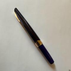 プラチナ 14K 万年筆 ポケット シャルトルブルー 透明軸 細字​ プラチナ 14K 万年筆 ポケット シャルトルブルー 透明軸 細字