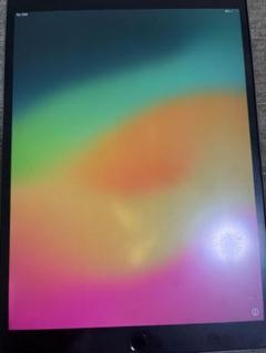 iPad pro 10.5インチ 256GB