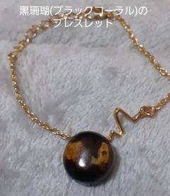 黒珊瑚　深海松　原木　長さ；35センチ H 1-1 黒珊瑚 深海松 原木 長さ；35センチ H 1-1 - メルカリ