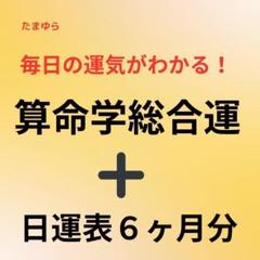算命学　個性鑑定3、大運年運鑑定2、ペット鑑定 2025年最新】算命の人気アイテム - メルカリ