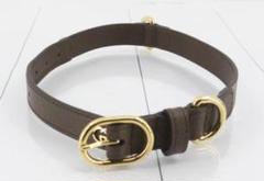 激レア♥️GUCCI♥️ドッグ用首輪リードセット 楽天市場】グッチ GUCCI 首輪 リード セット 散歩 GGキャンバス